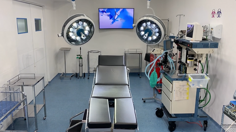 ca595e_224620f6104f48d79248f062f65d65fc~mv2